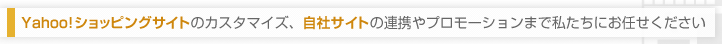 Yahoo!ショッピングサイトのカスタマイズ、自社サイトの連携やプロモーションまで私たちにお任せください